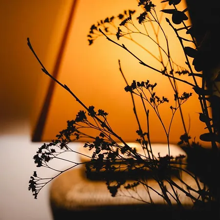 Kuntschner Mittersill